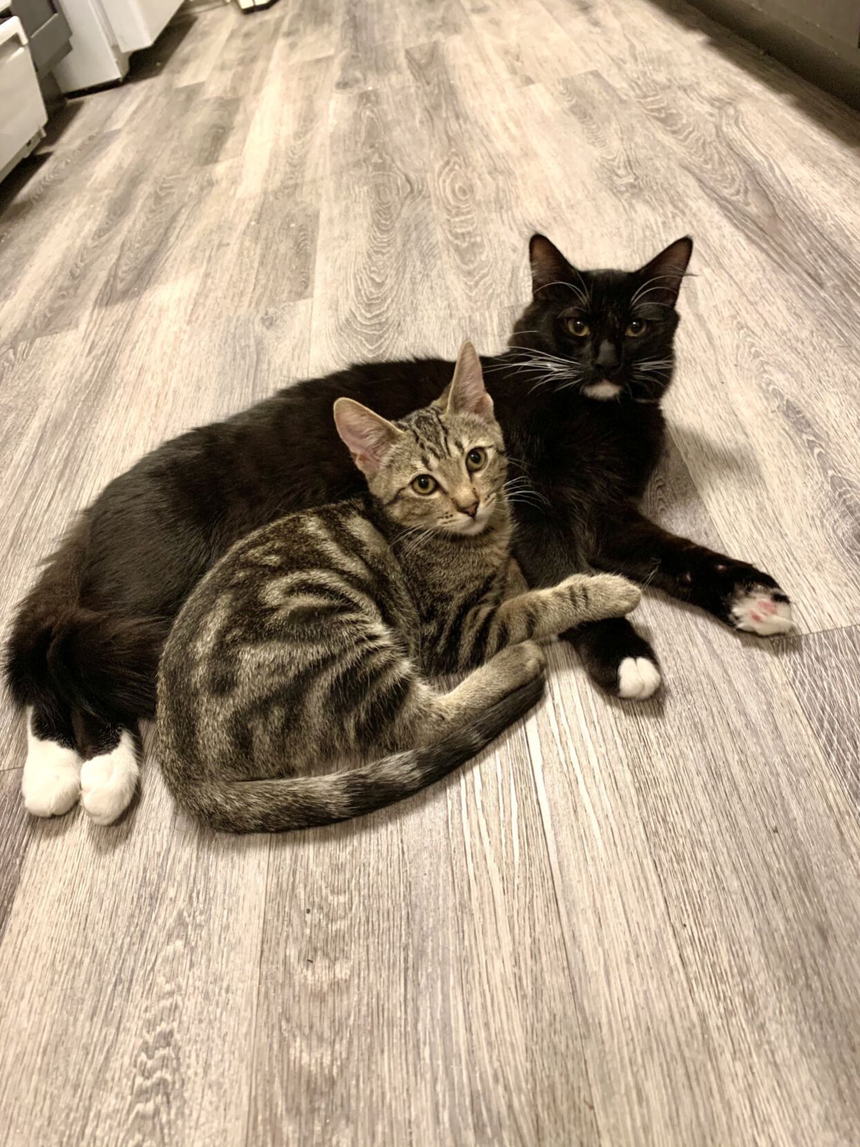 Tonchi & Chia